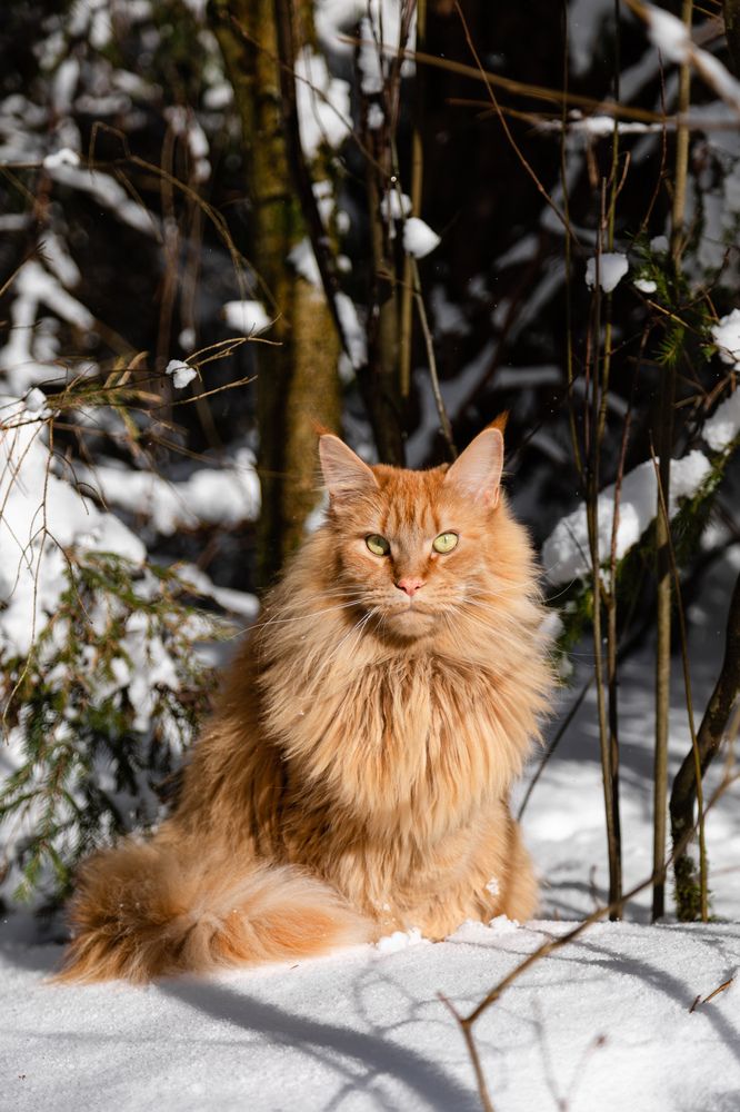 Photograph by Nika Prokopenko