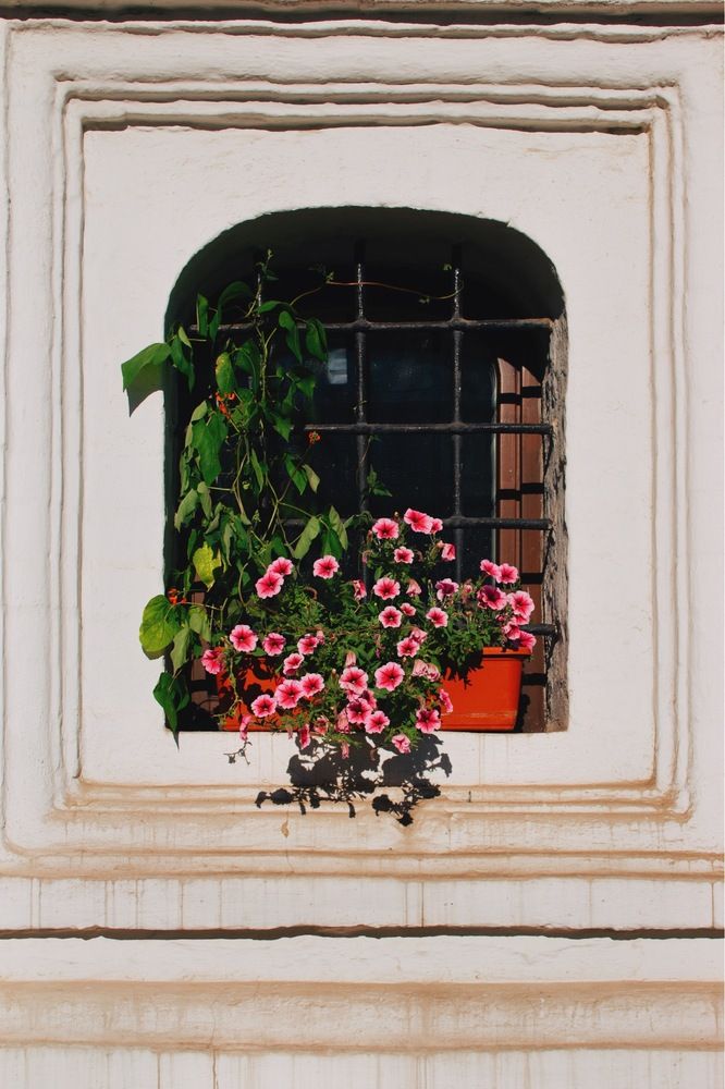 Photograph by Сергей Бойко