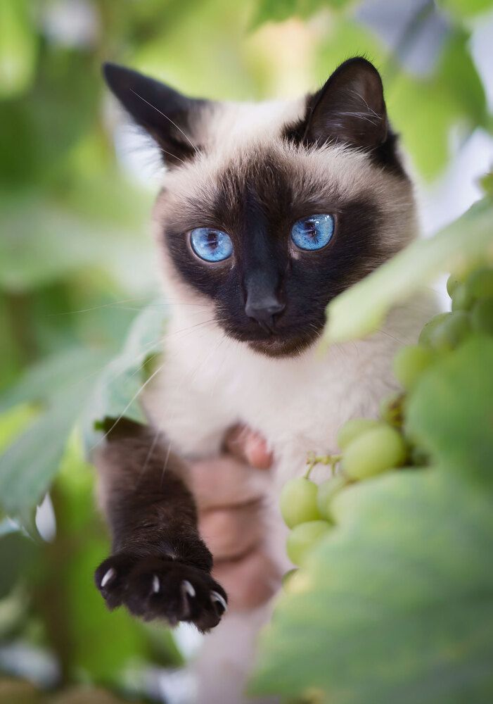 Photograph by Екатерина