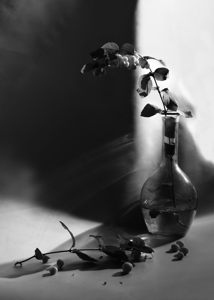 Фотография автора Софья