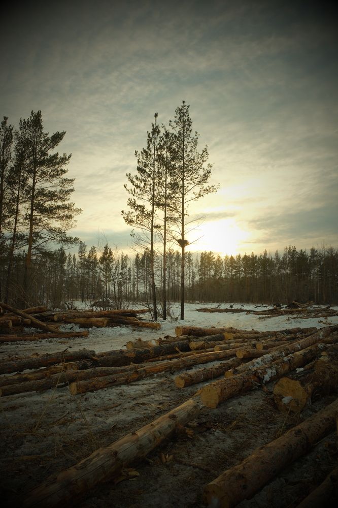 Photograph by Яна Истоцкая