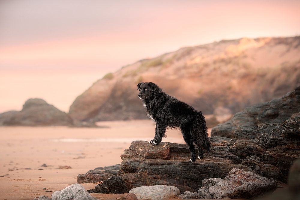 Photograph by Laura Quintanel