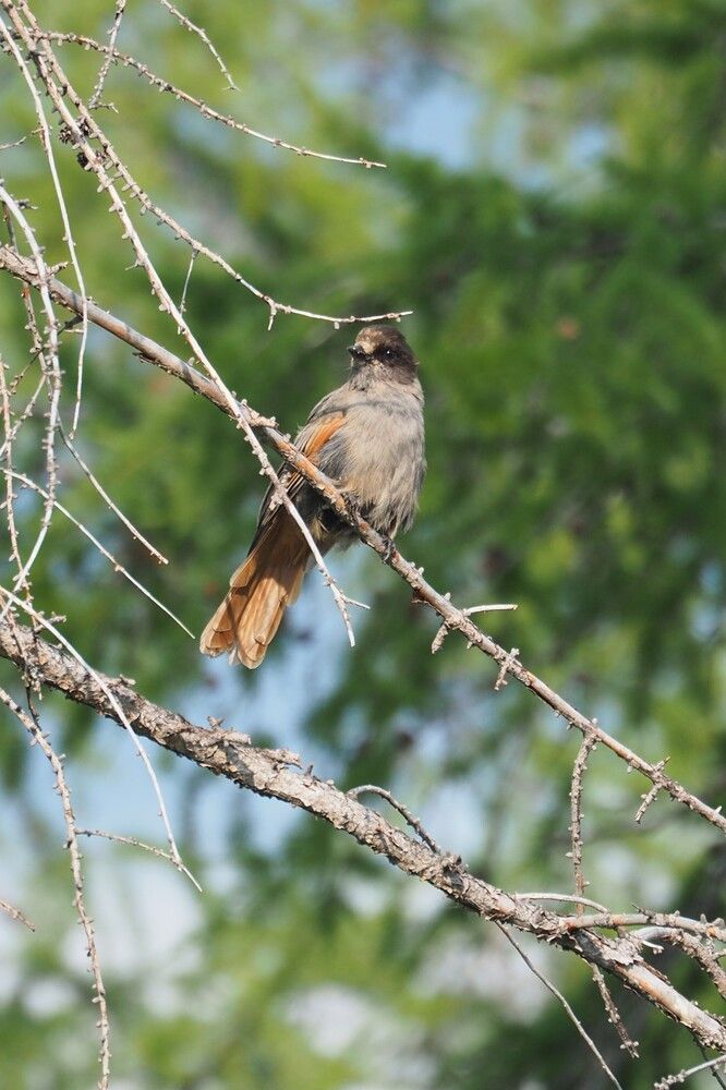 Photograph by Анна Тиунова