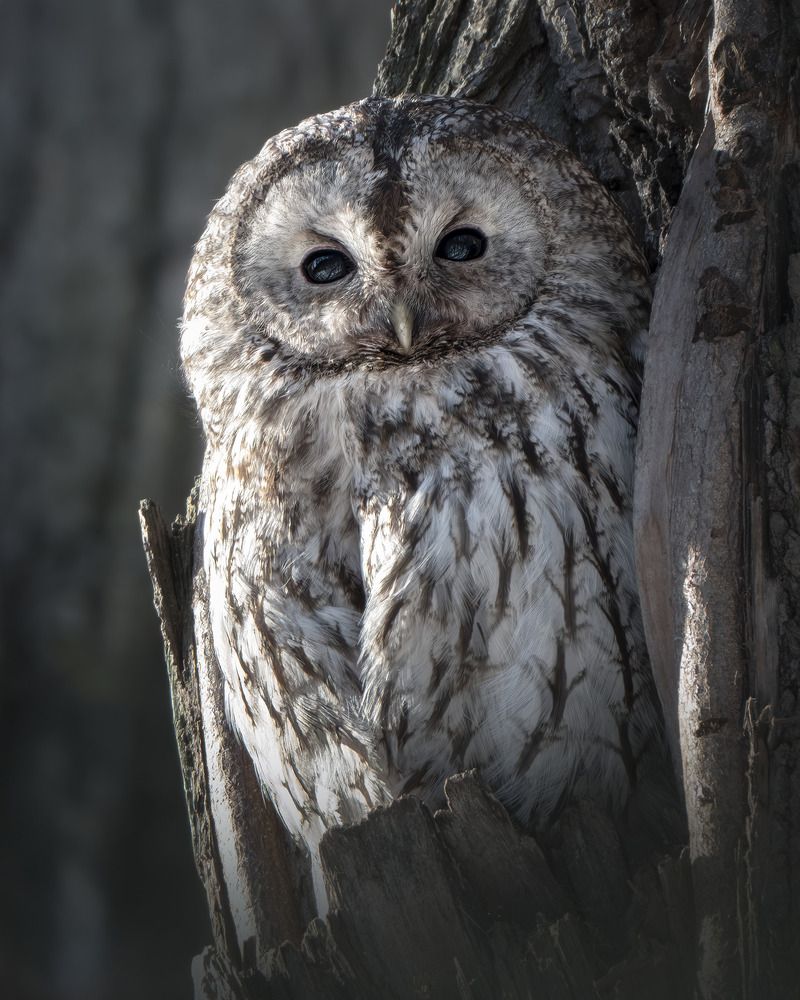 Photograph by Поляков Михаил