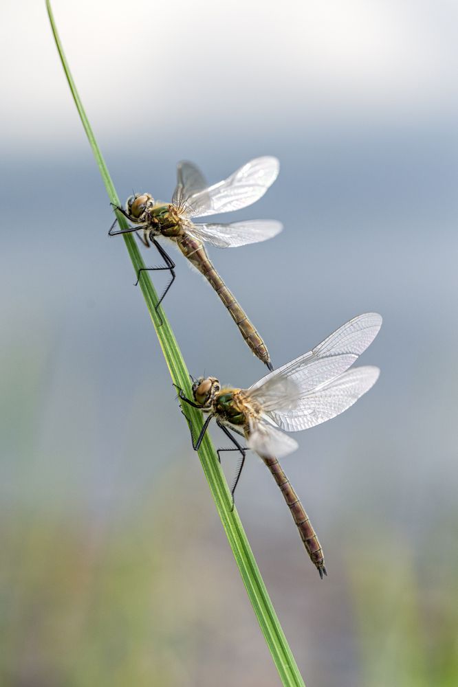 Photograph by Наталья
