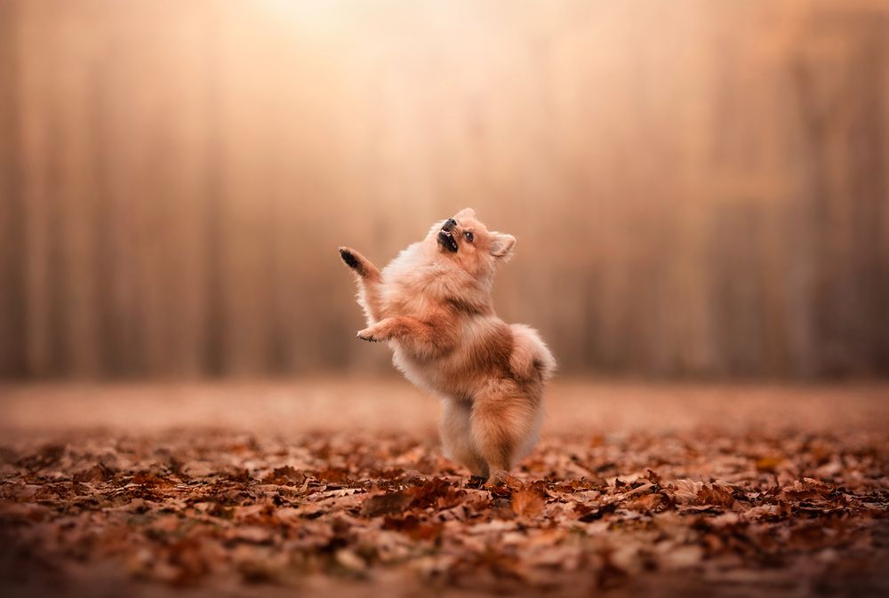 Photograph by Laura Quintanel