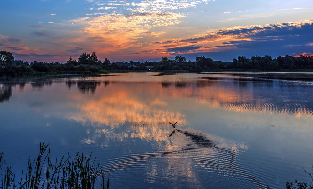 Photograph by Владимир Безбородов