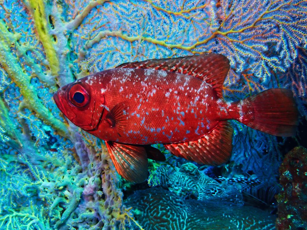 Photograph by Кирилл Леднев