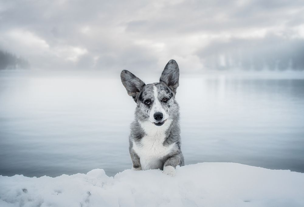 Photograph by Laura Quintanel