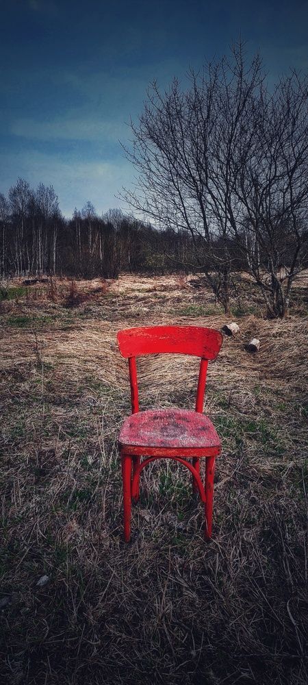 Photograph by Антонина Сухова