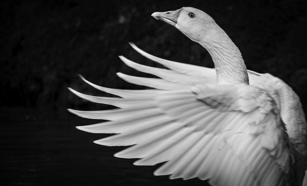 Фотография автора Lina María González Triana