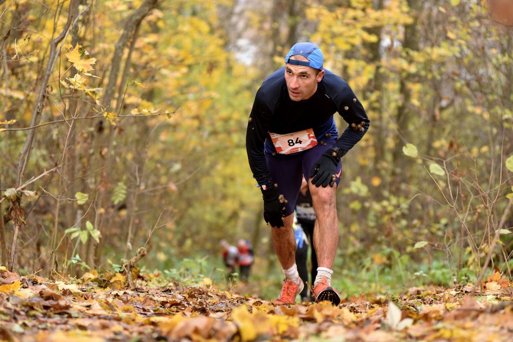 Фотография автора Сергей Сынтин