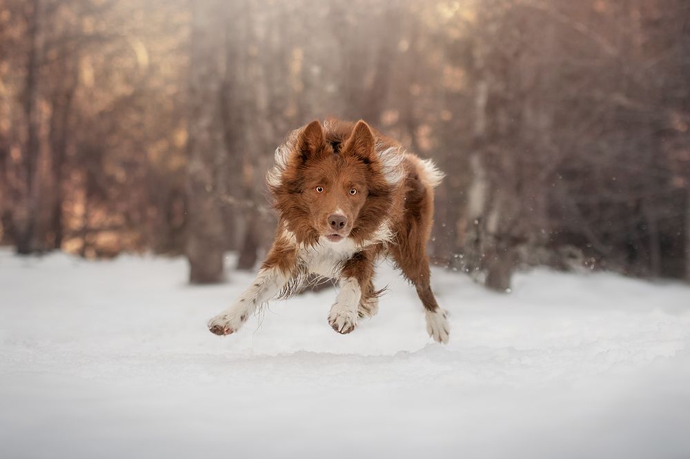 Photograph by Laura Quintanel