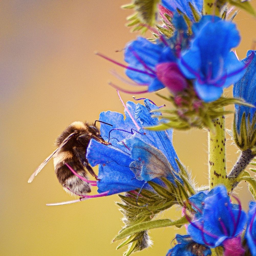 Photograph by Den Shneiner