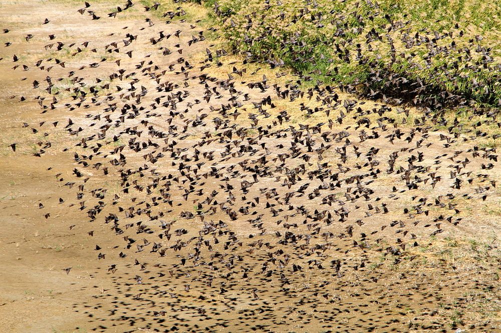 Фотография автора Александр Челмодеев