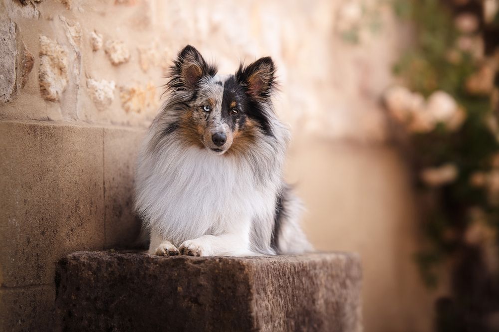 Photograph by Laura Quintanel