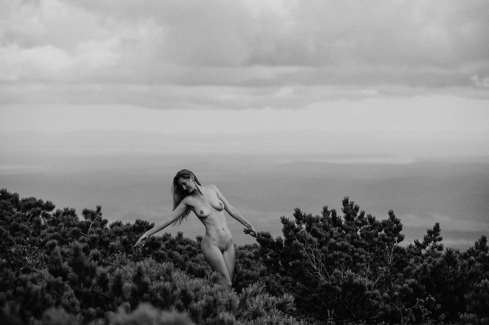 Фотография автора Эбингер Дмитрий