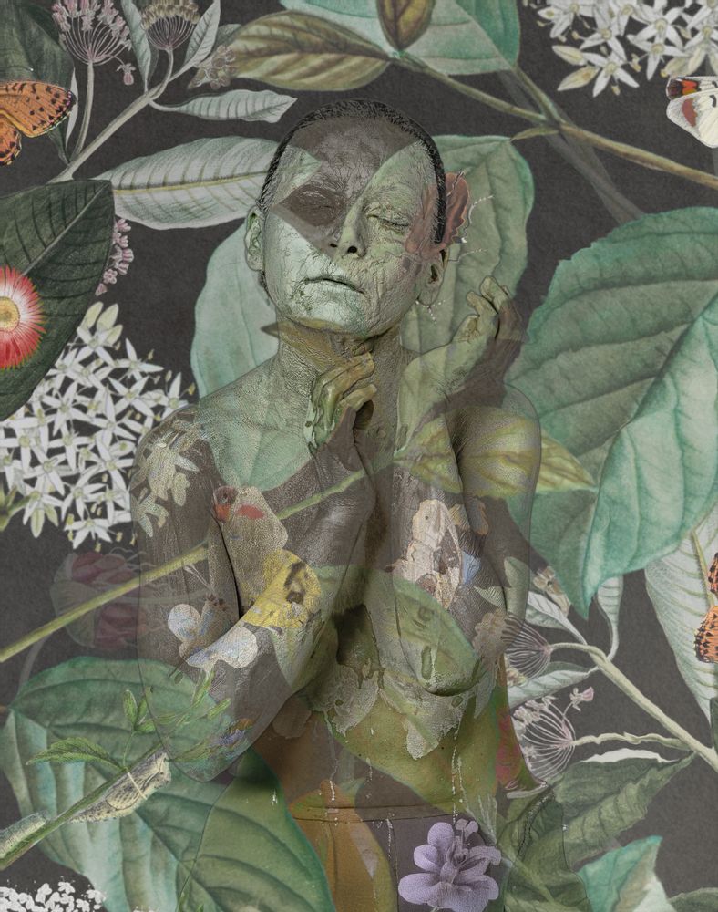 Джунгли зовут