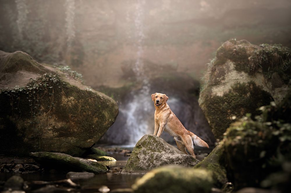 Photograph by Laura Quintanel