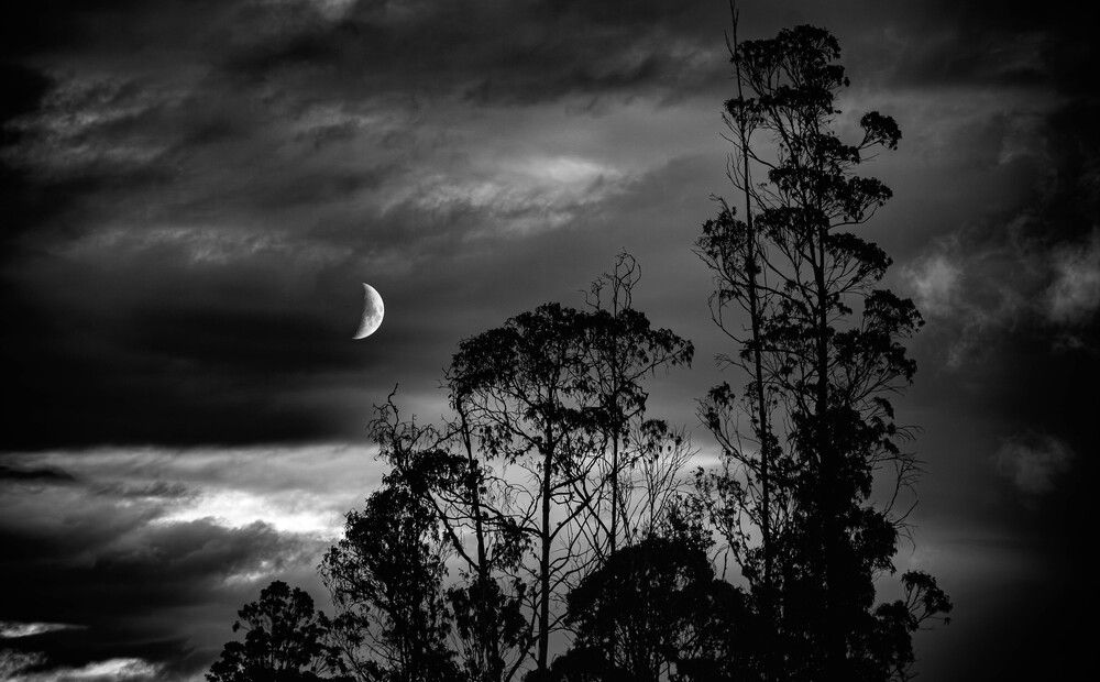 Фотография автора Lina María González Triana