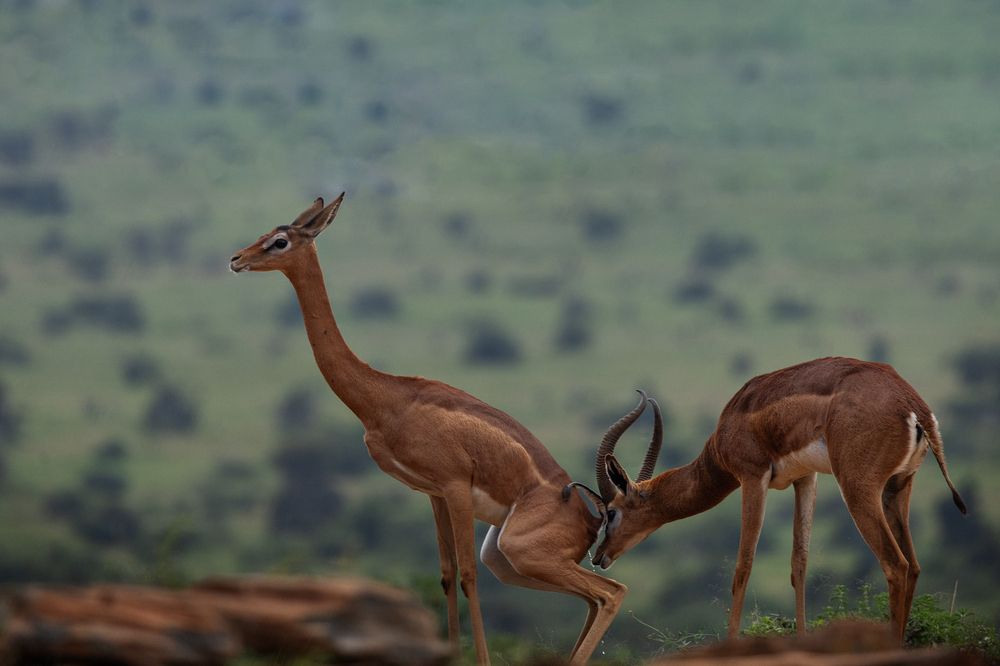 Photograph by Ольга Шайдулина