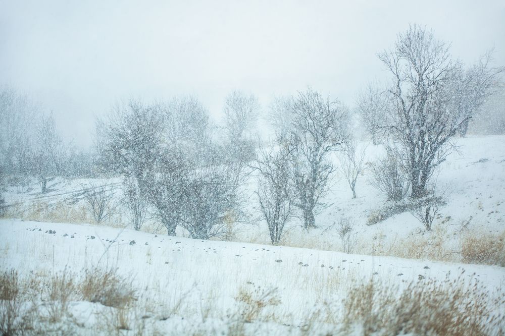 Фотография автора Mojtaba Chenari
