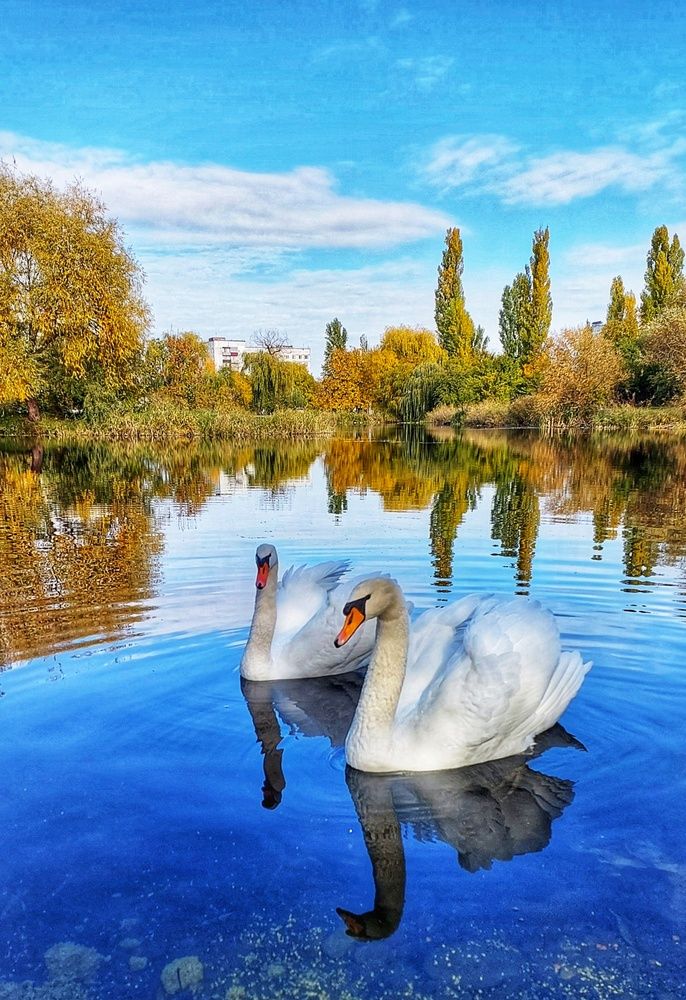 Photograph by Юлия Коробкова