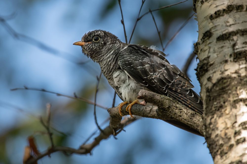 Photograph by Вадим Брыль
