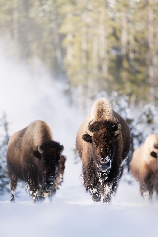 Photograph by Victoria Harris