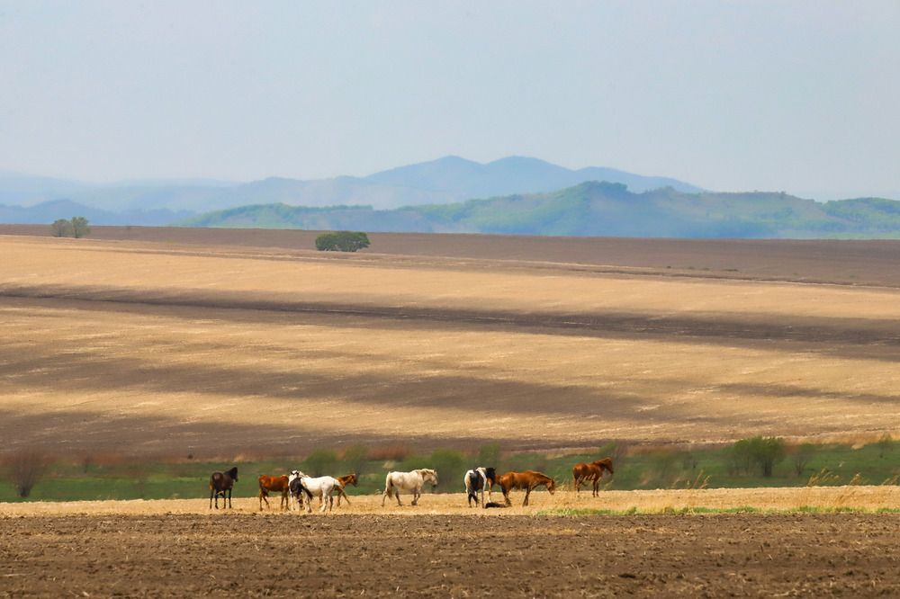 Фотография автора Алексей Кумпан