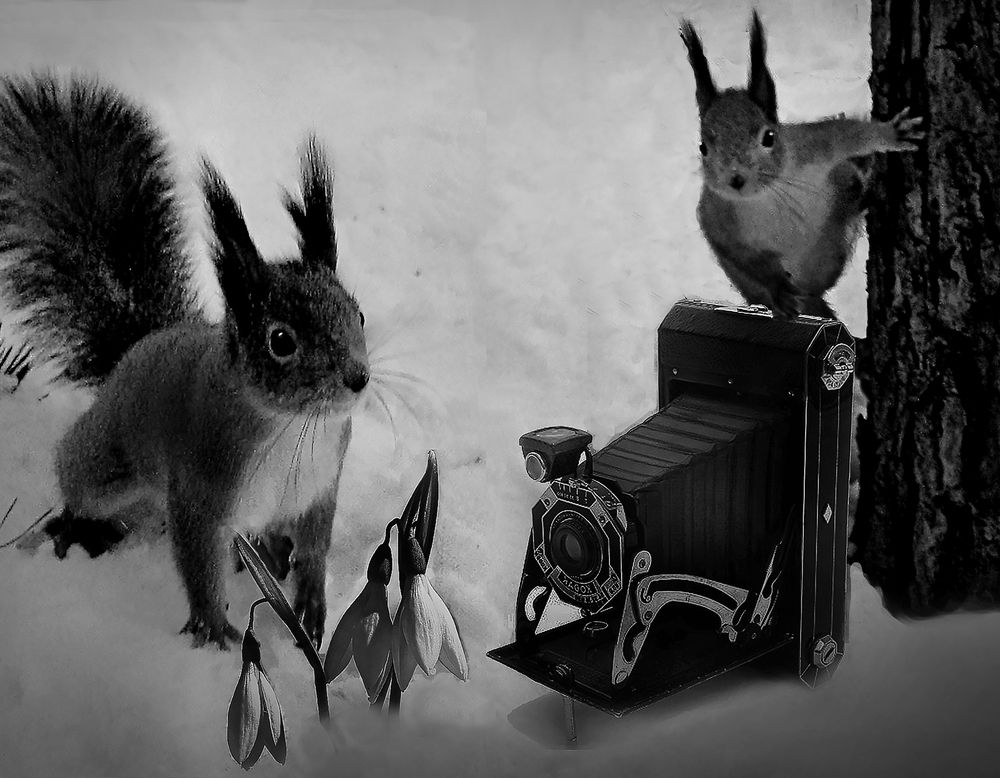 Photograph by Зоя Быкова