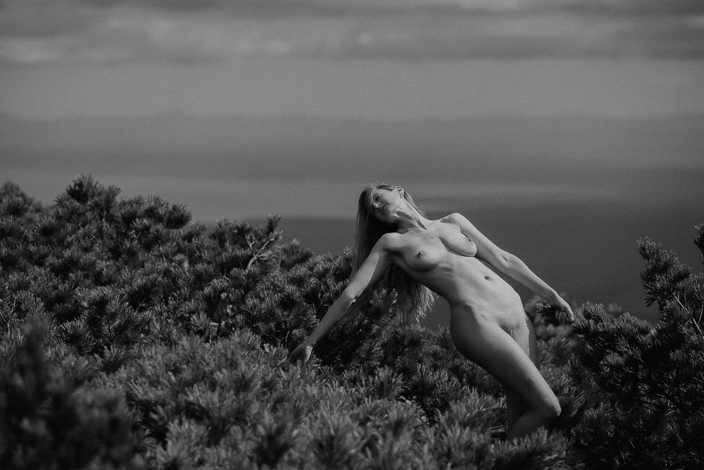 Фотография автора Эбингер Дмитрий