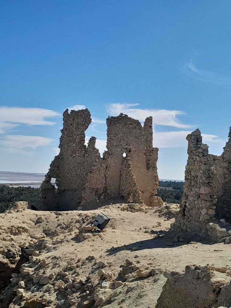 Photograph by mahmoud saeed