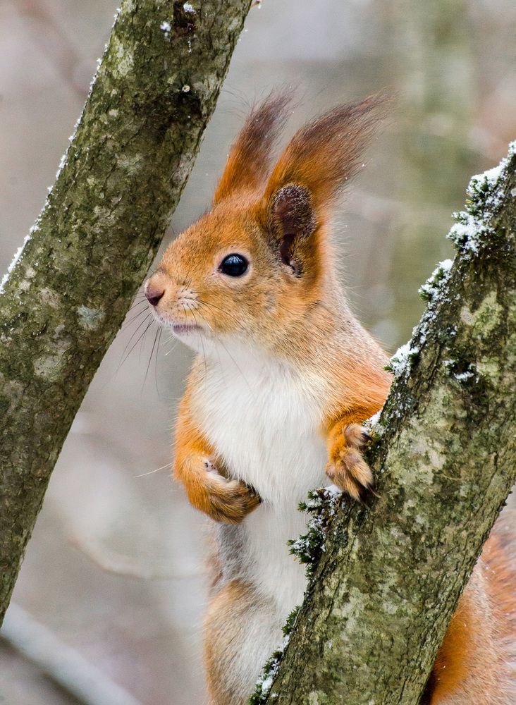 Photograph by Константин Ларин