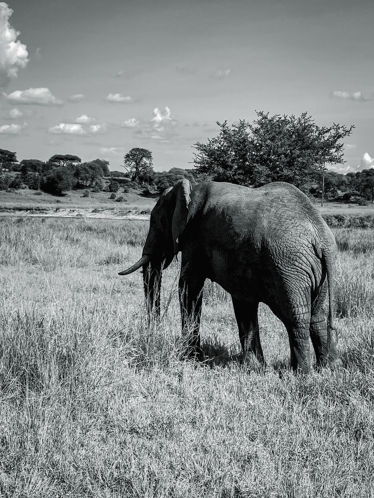 Фотография автора Андрей Болотин