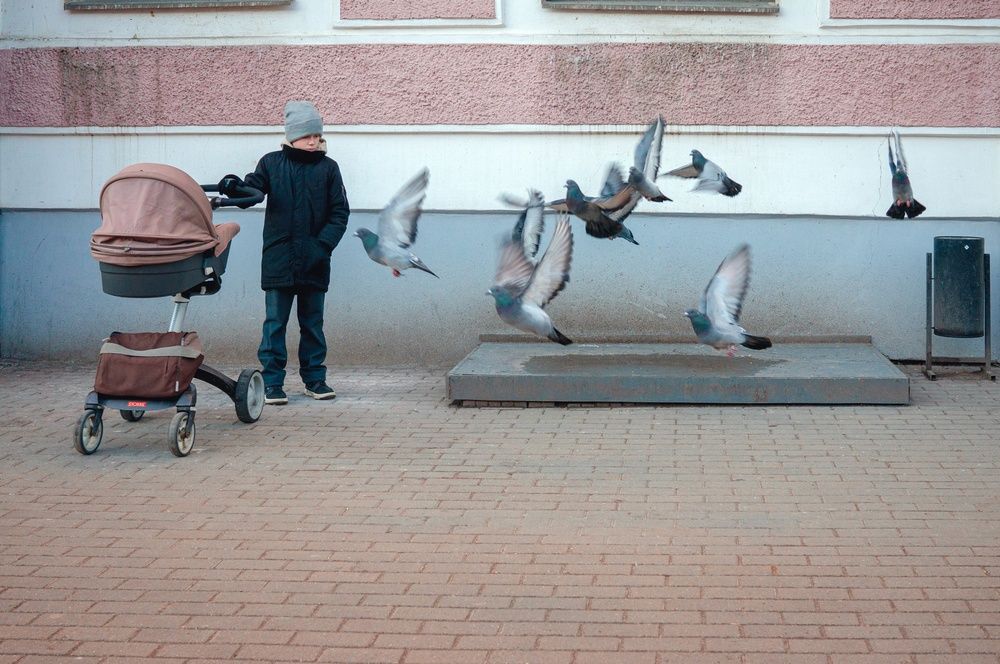 Photograph by Максим Калинов