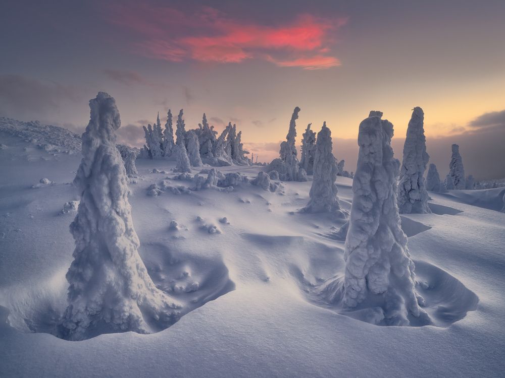 Фотография автора Медянцев Дмитрий