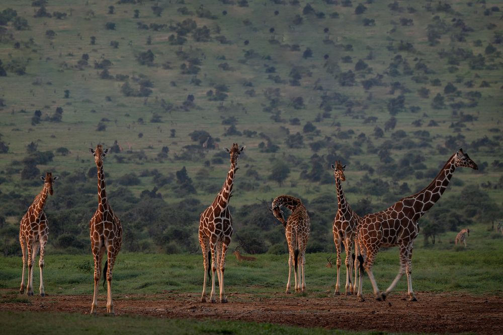 Photograph by Ольга Шайдулина