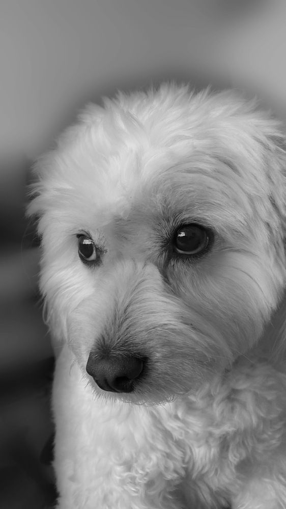 Photograph by Pardis Karami Nezhaad