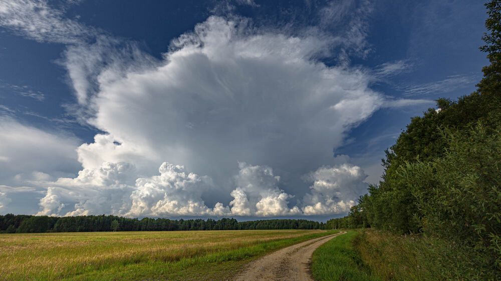 ЦАРЬ ОБЛАКО