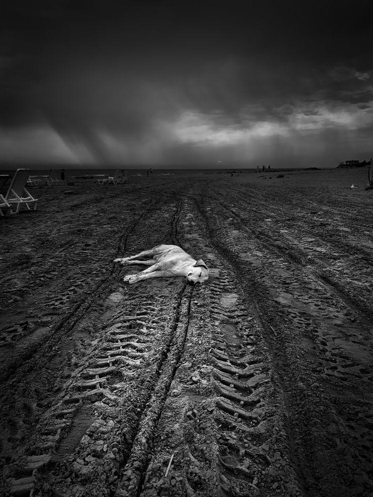 Photograph by Алексей Степаненко