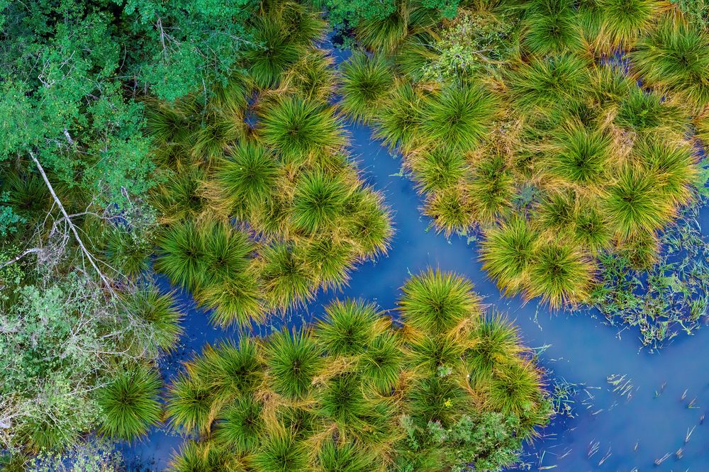 Photograph by Gatis Vilbrants