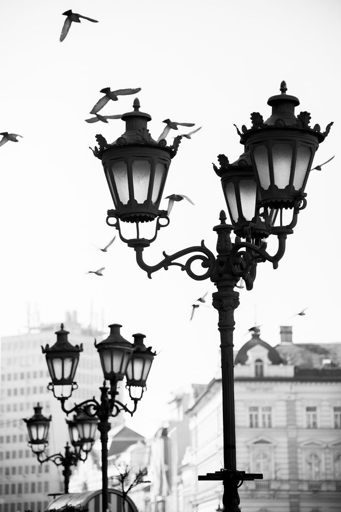 Photograph by Ira Surmasheva