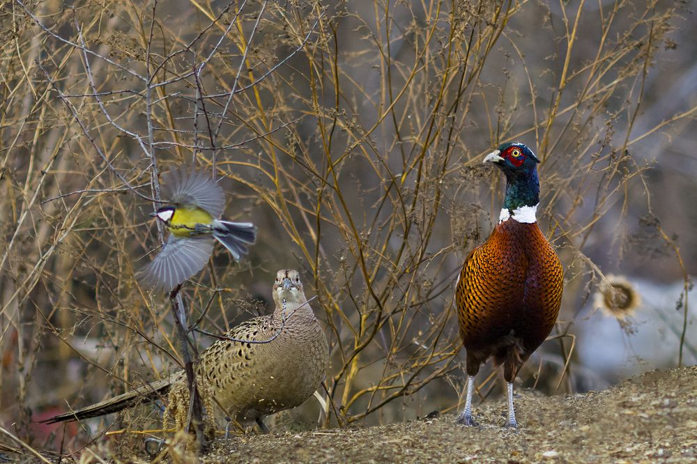 Photograph by Валерий Черняк