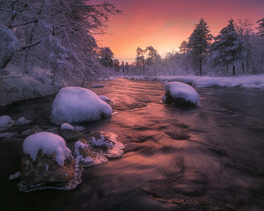 Фотография автора Медянцев Дмитрий