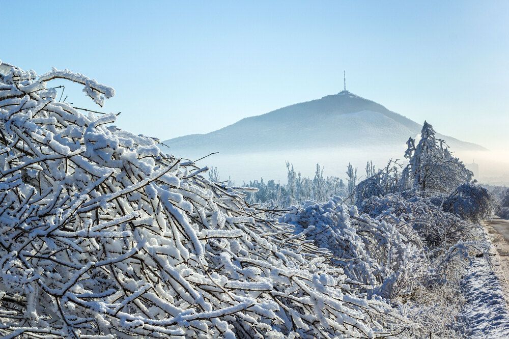 Иней на деревьях