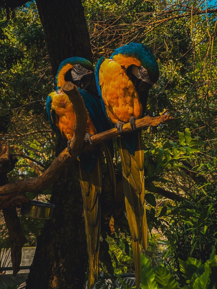 Photograph by Мария