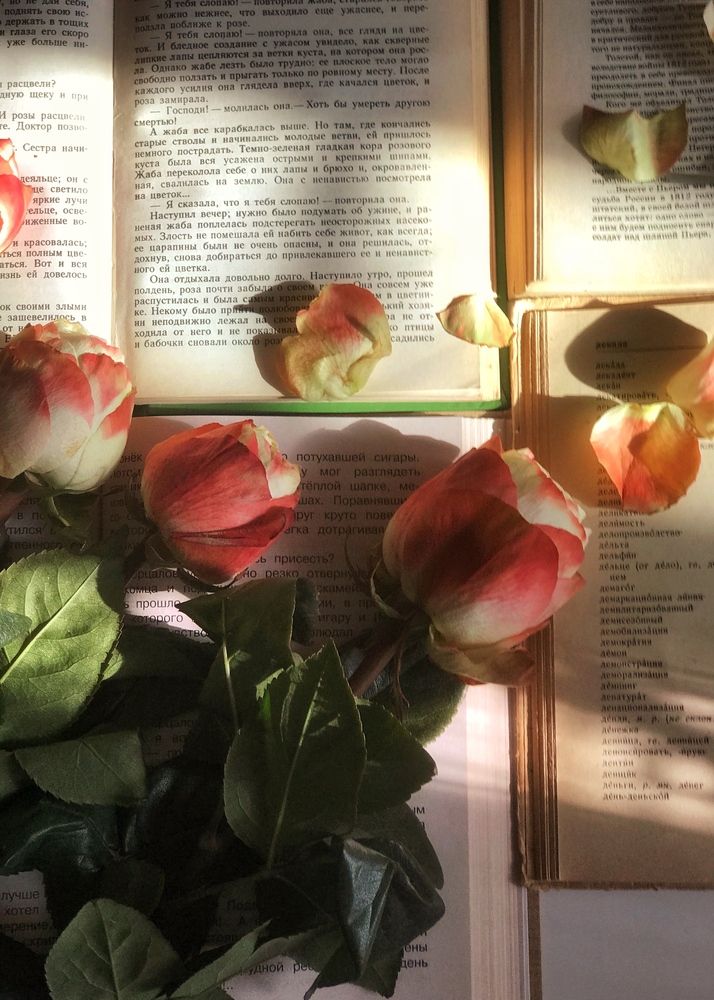 Photograph by АЛЛА ТАРАСЕНКО