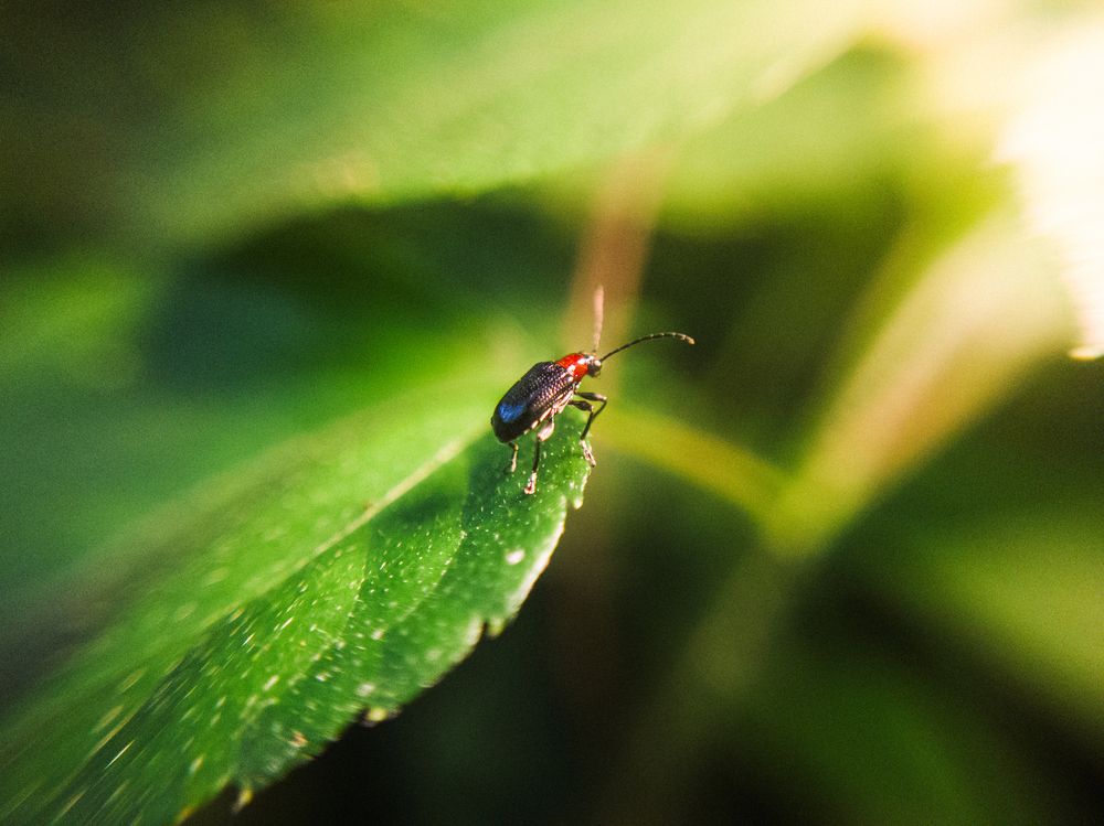 Photograph by Allan Carvalho