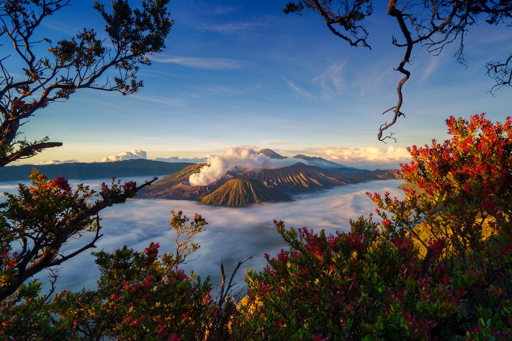 Photograph by Tran Minh Dung